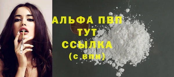 сатива Великий Новгород